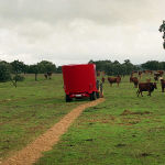 Mezcladoras: CL&Agrave;SSIC